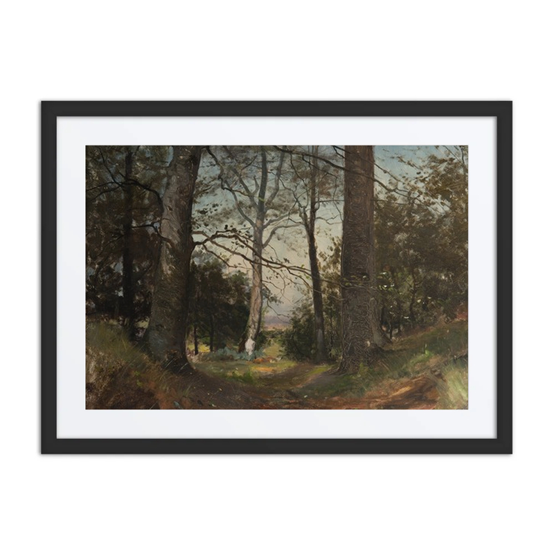 In the Forest