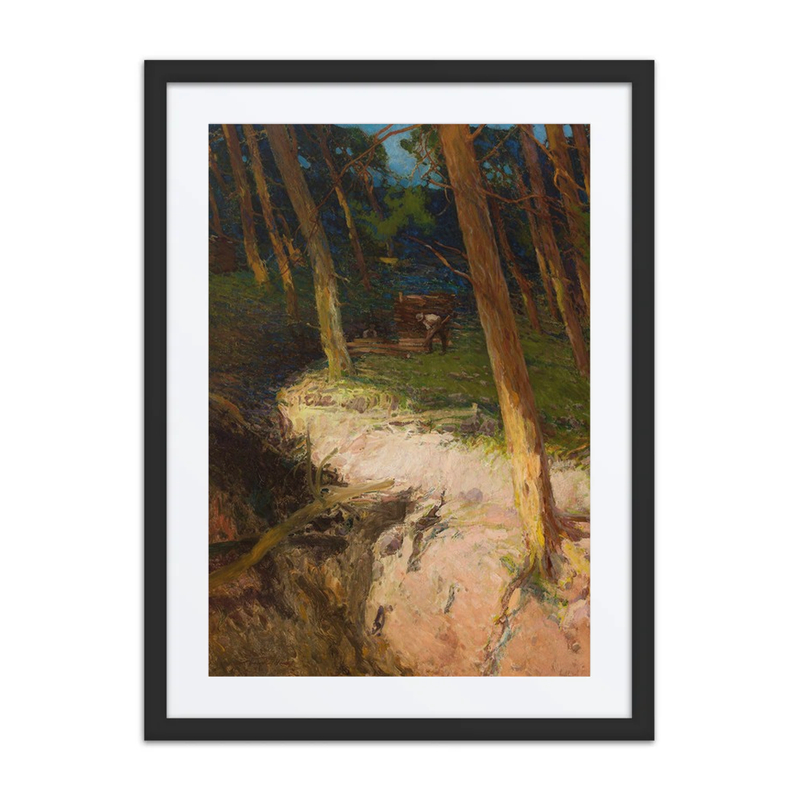 In the Forest