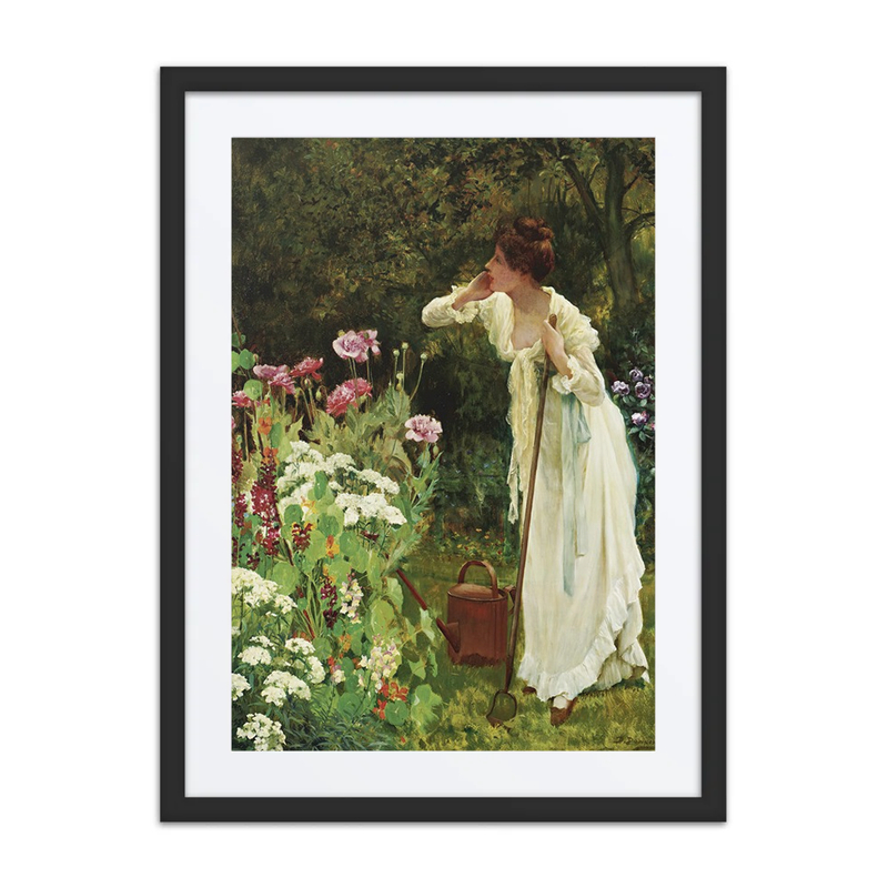 In the Fullness of Summer
