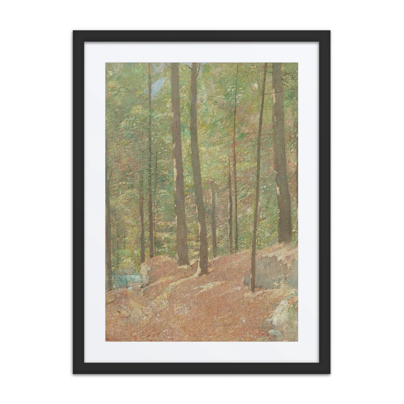 In the Pine Woods
