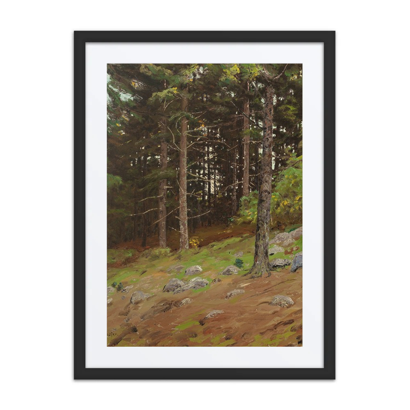 In the Pines