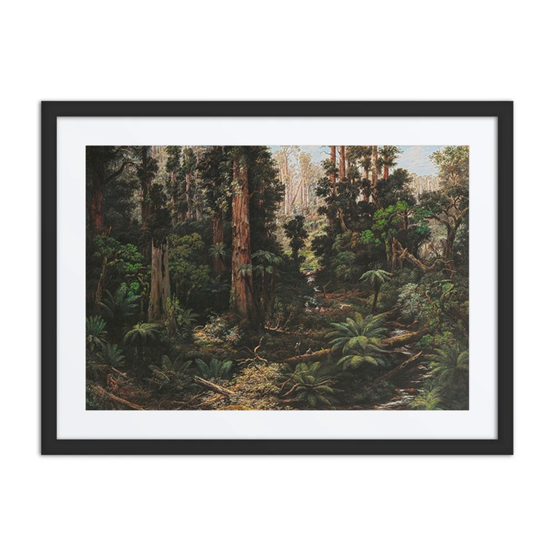 In the Sassafras Valley, Victoria