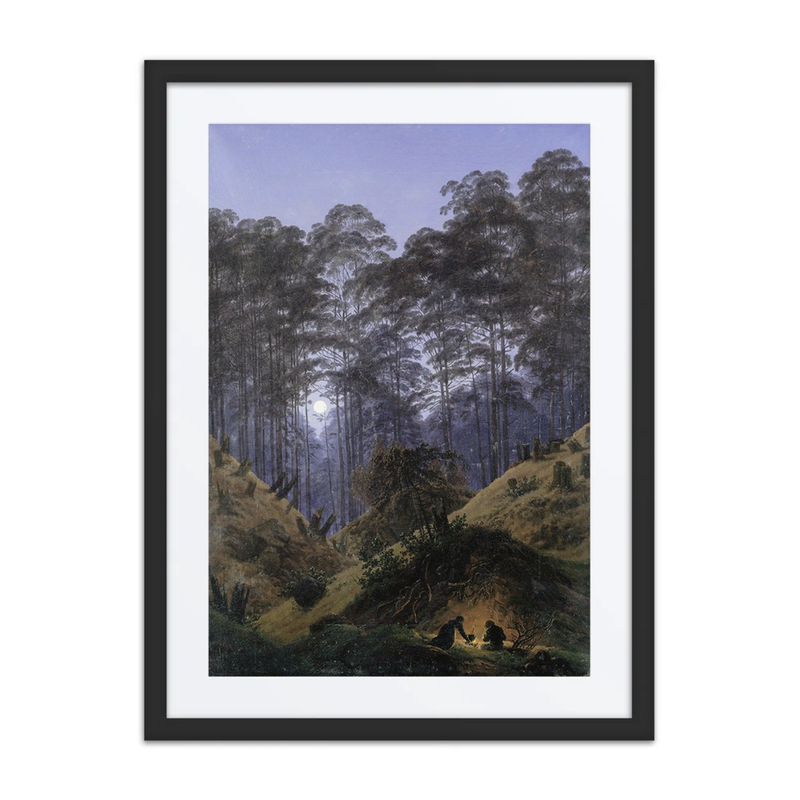 Inside the Forest in Moonlight