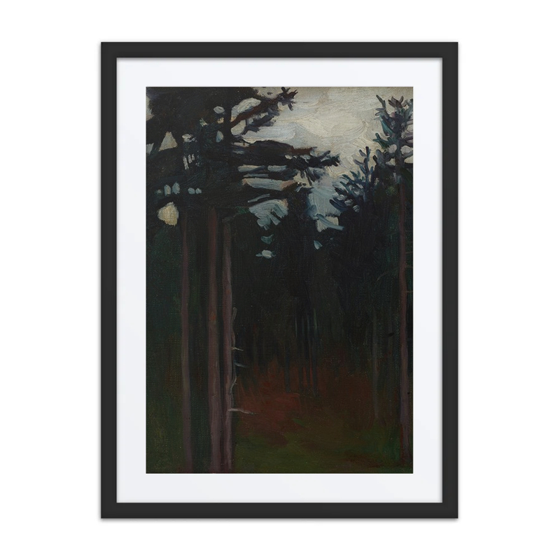 Inside the Forest
