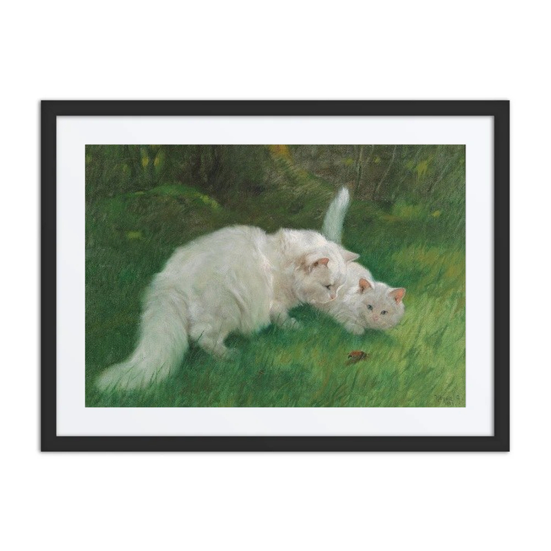 Interessante Entdeckung