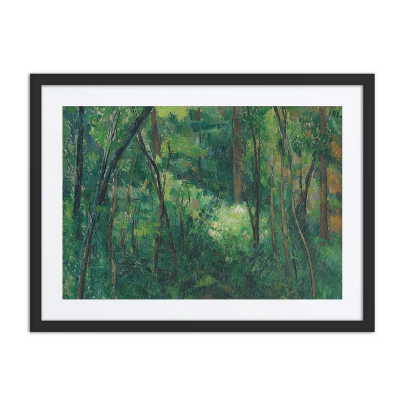 Interior of a Forest