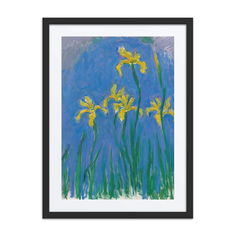 Irises