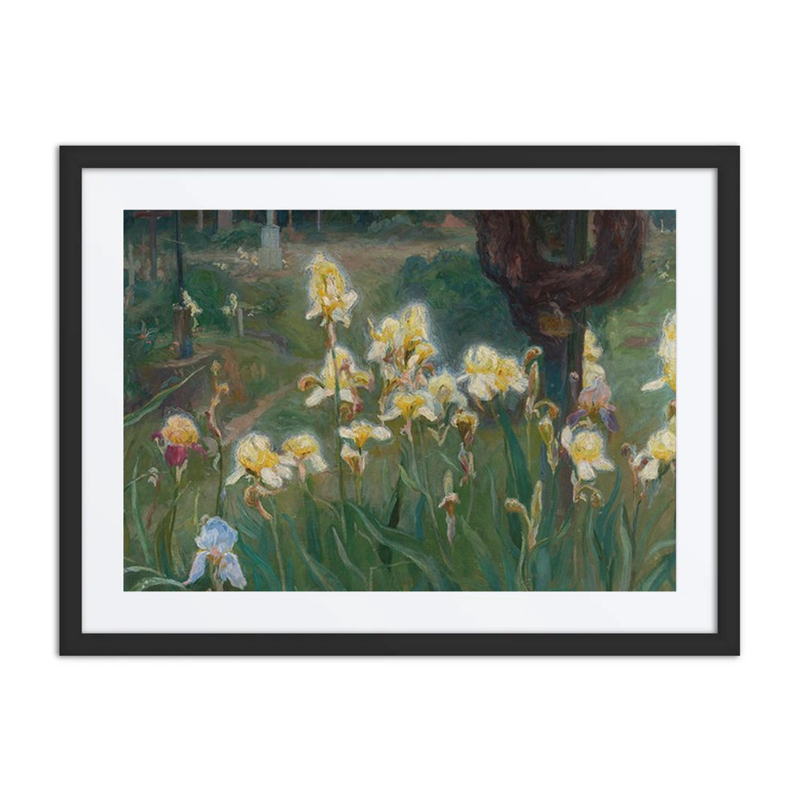 Irises in a Graveyard