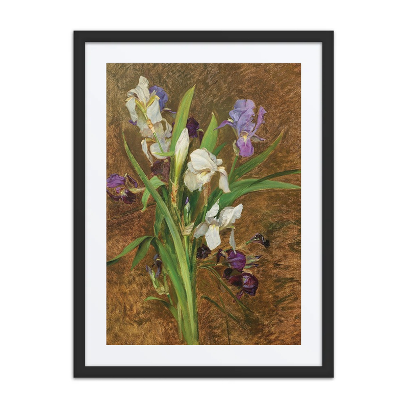Irises