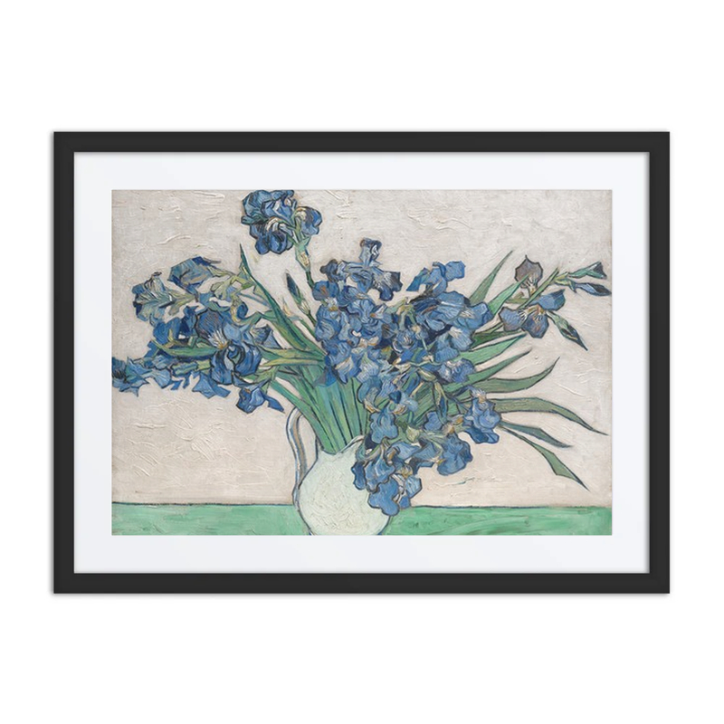 Irises