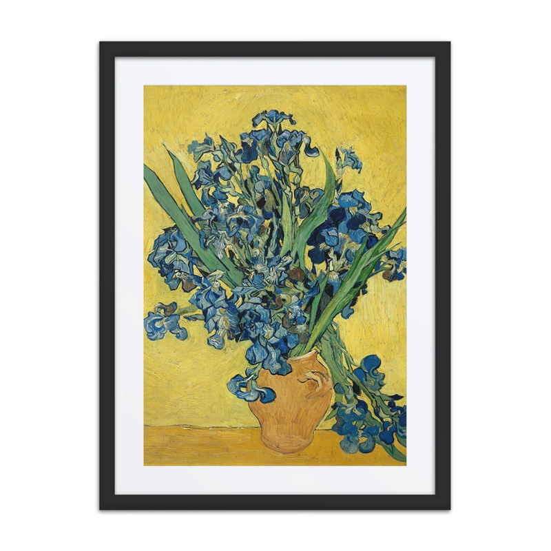 Irises