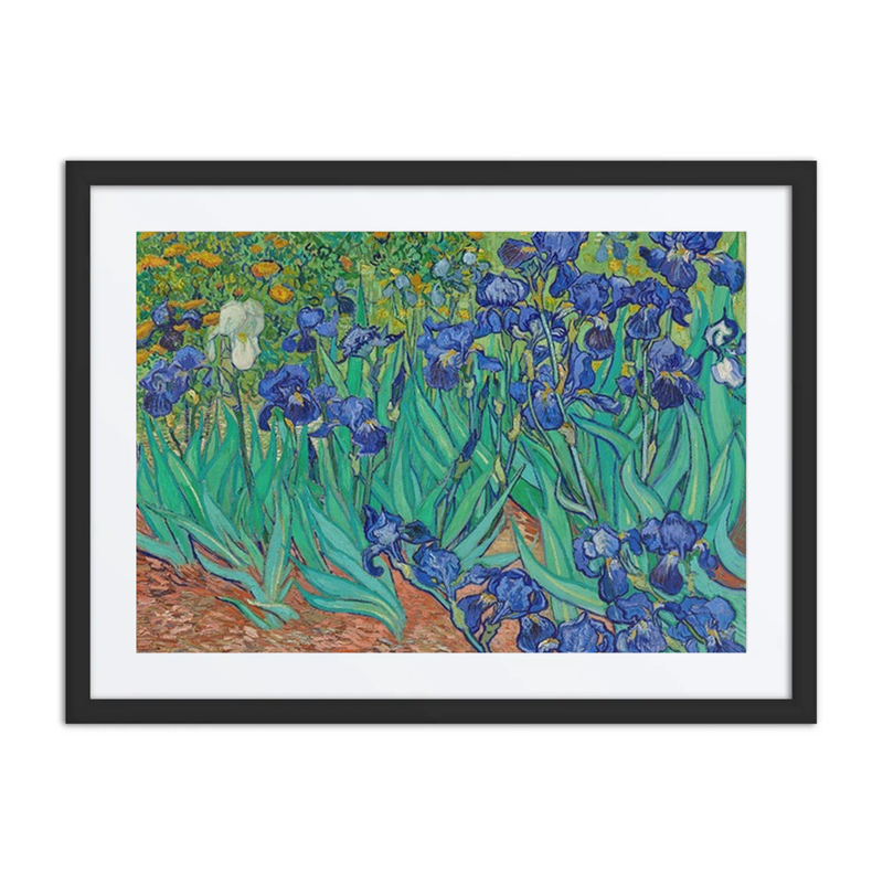 Irises