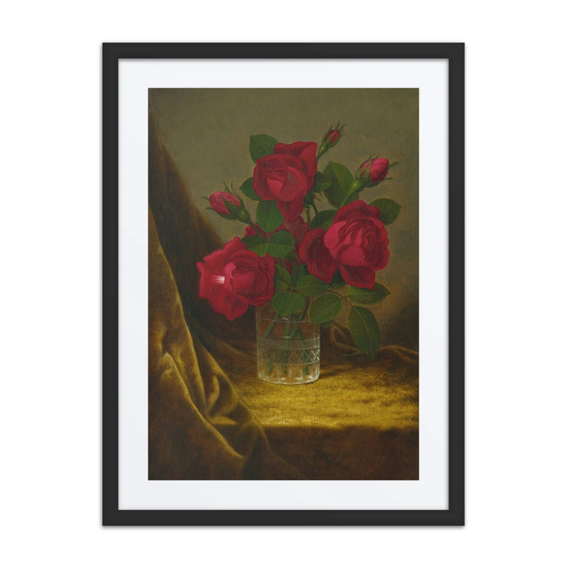 Jacqueminot Roses