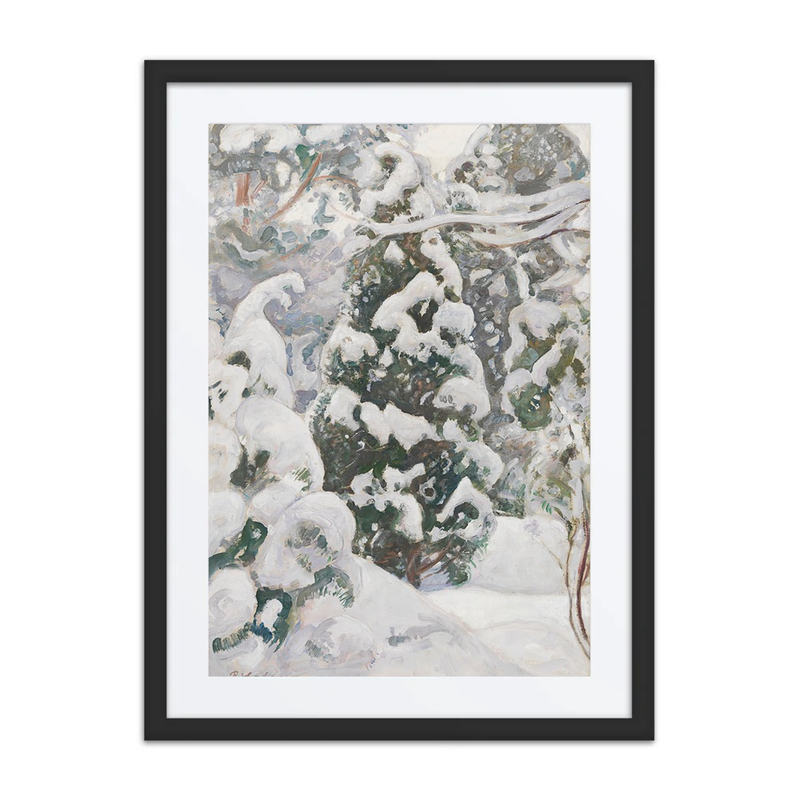 Juniper Tree in Snow