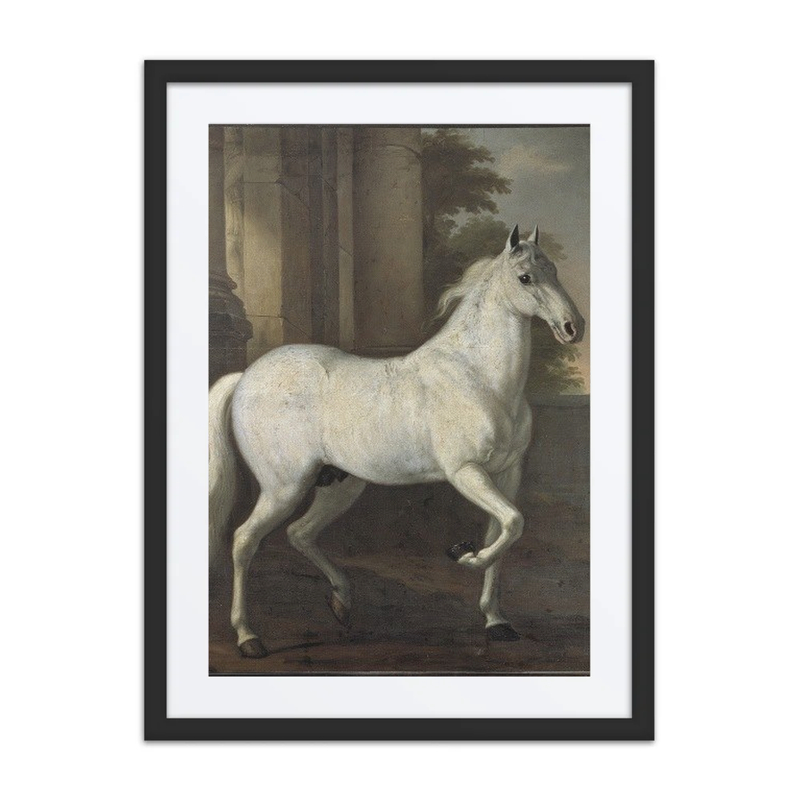 Karl Xi’s Horse Brilliant