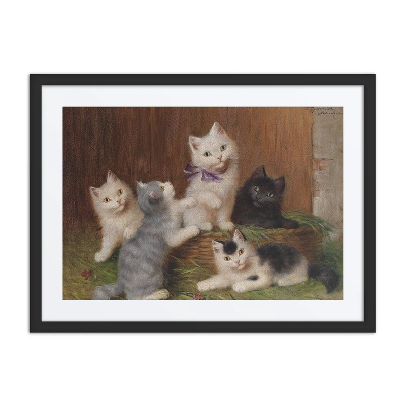 Katzenkinder