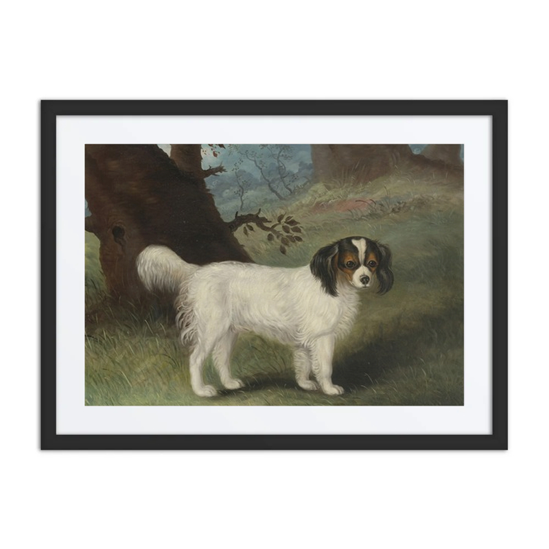 King Charles Spaniel in Landscape