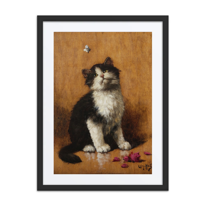 Kitten with Butterfly