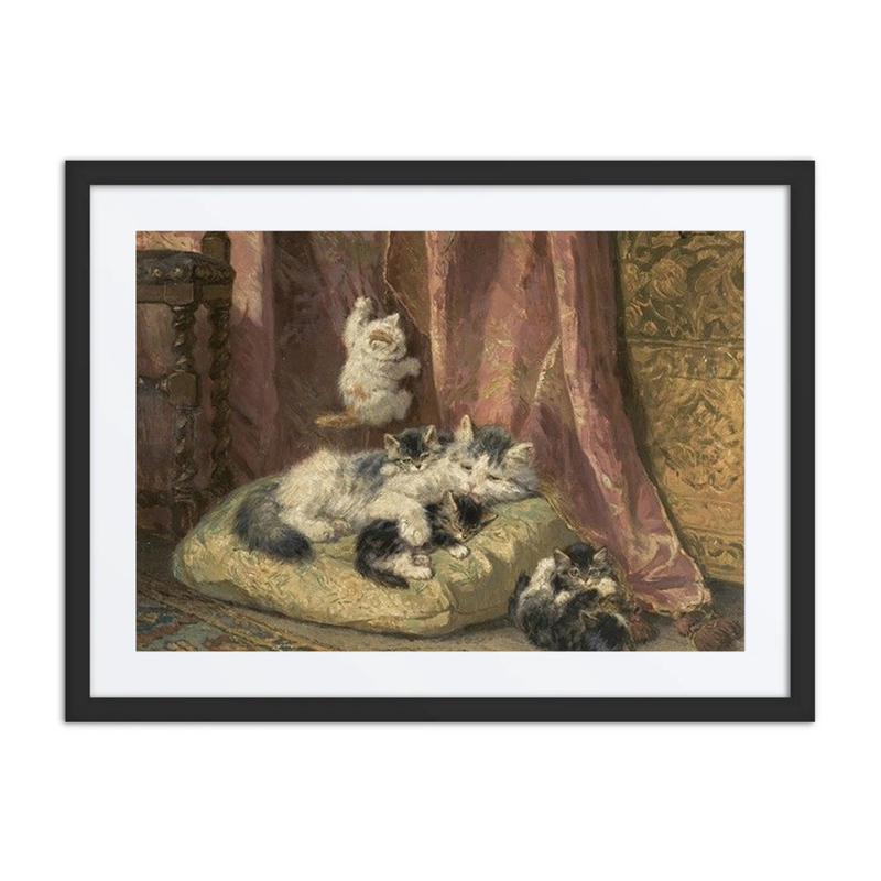 Kittens at Play