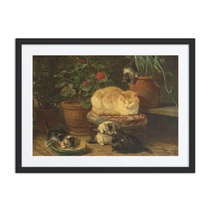 Kittens at Play