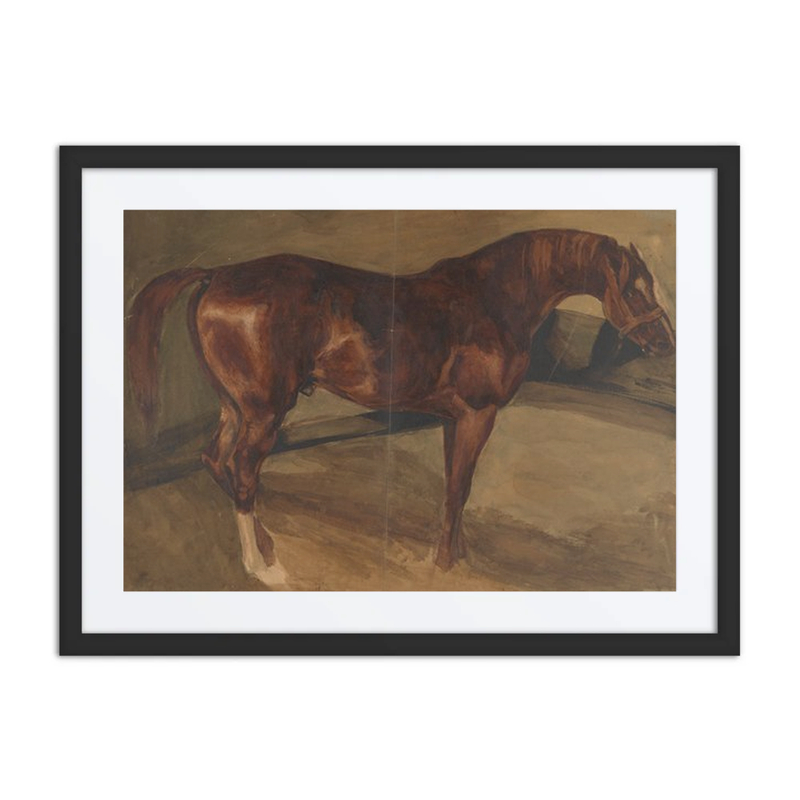 Koń Maści Gniadej (Unfinished)