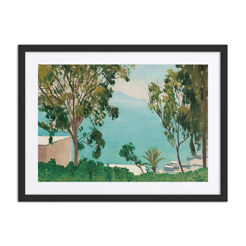 La Plage Vue à Travers les Eucalyptus