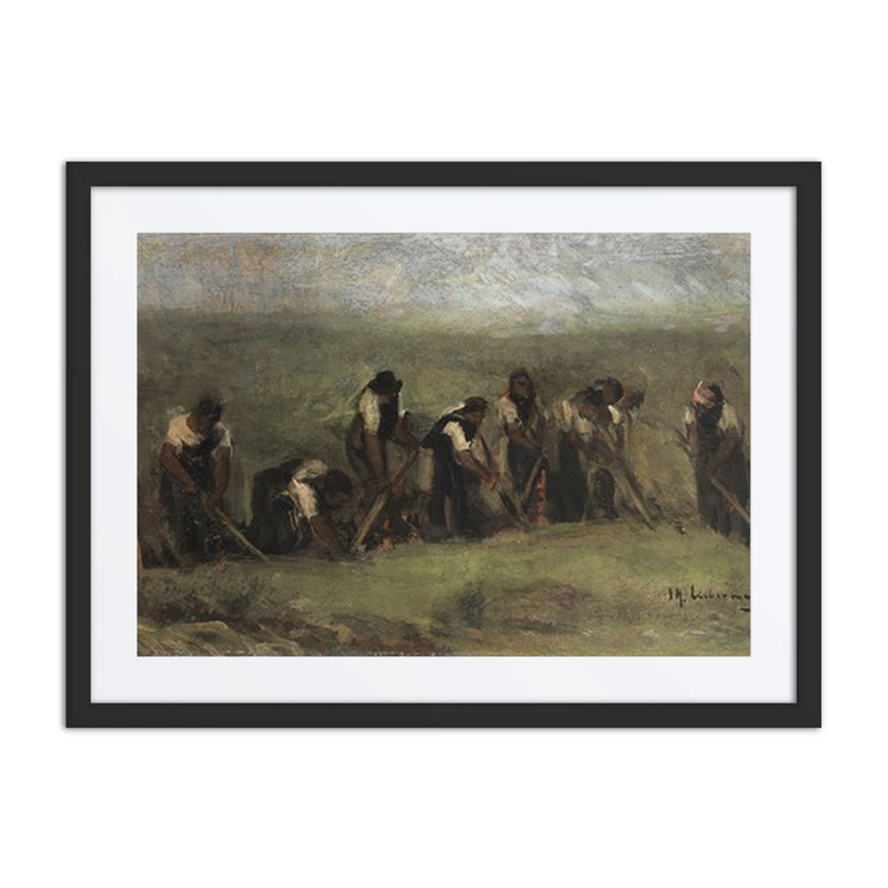 Laborers in a Beet Field