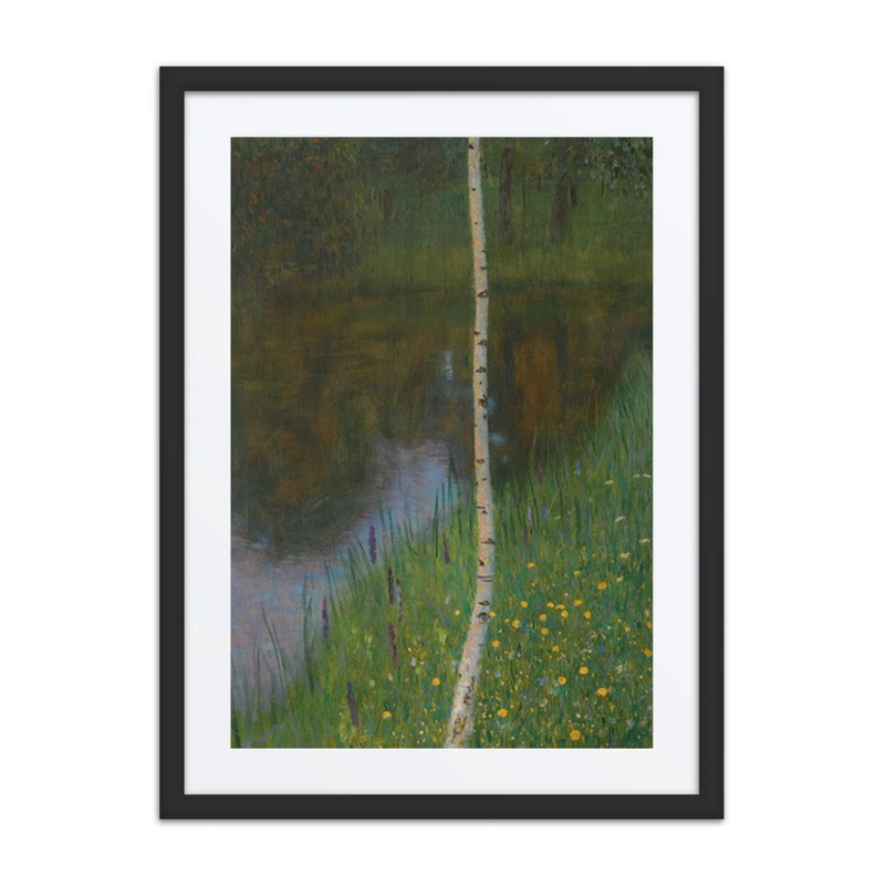 Lakeshore with Birches