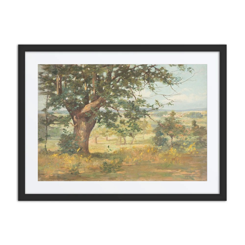 Landscape