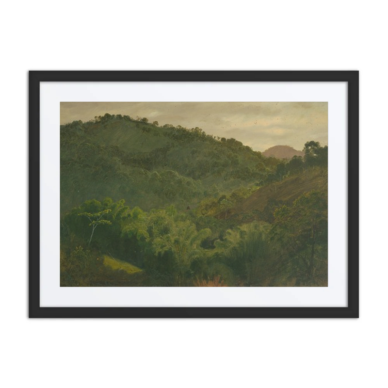 Landscape from Jamaica