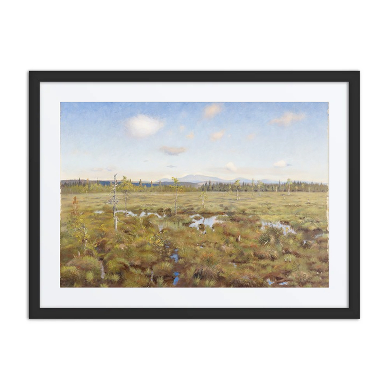 Landscape from Lapland