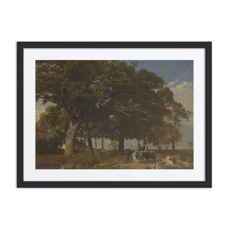 Landscape in the Dauphiné