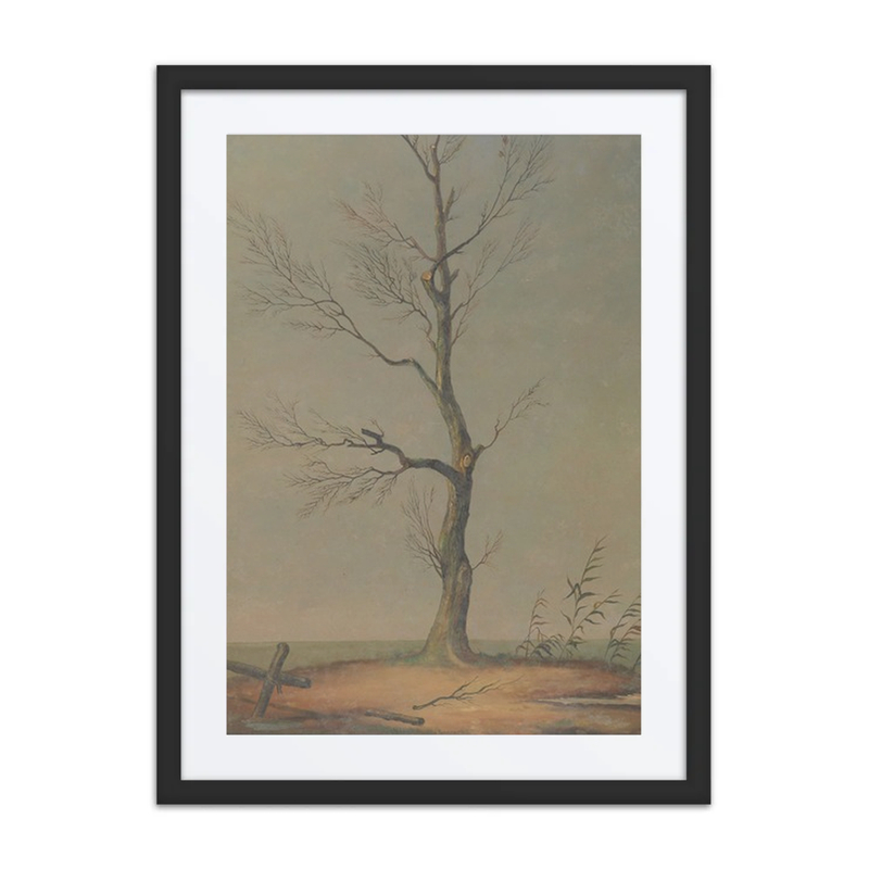 Landscape in Winter