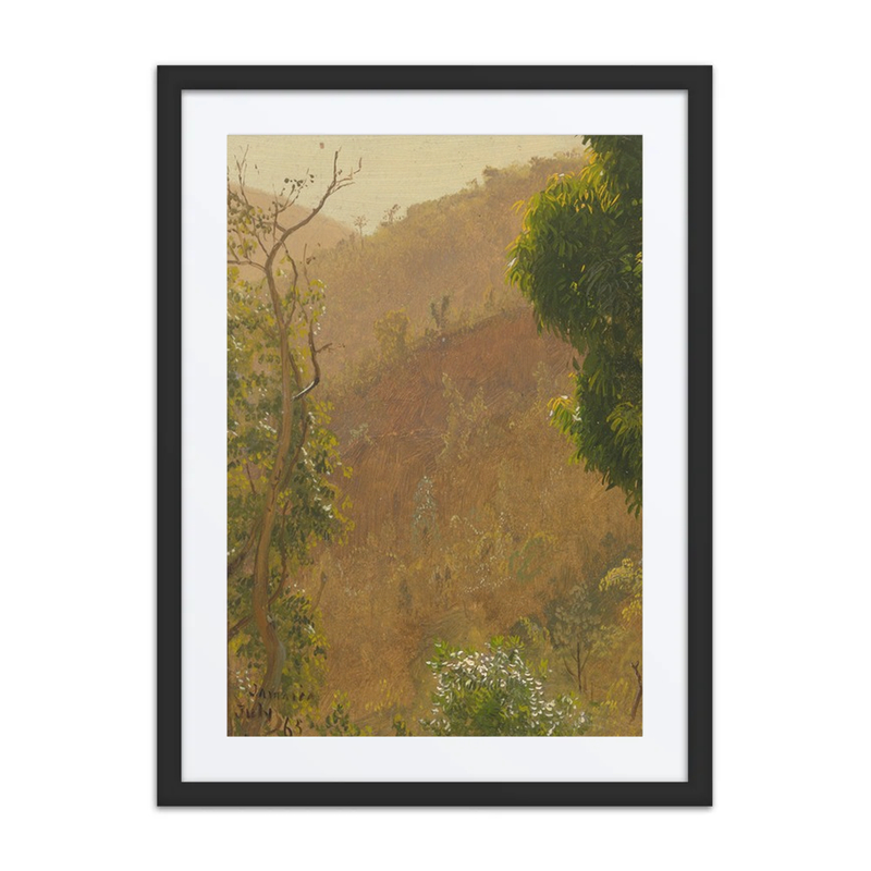 Landscape IV