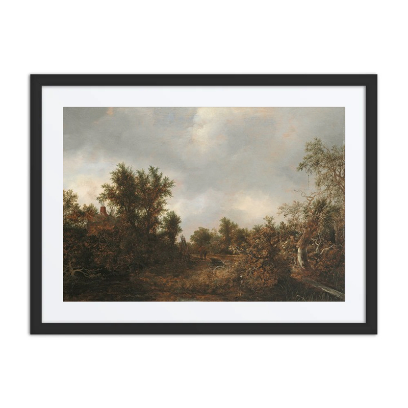 Landscape