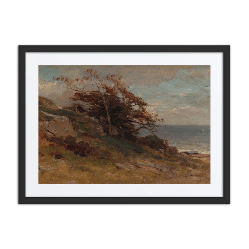 Landscape Near Sea