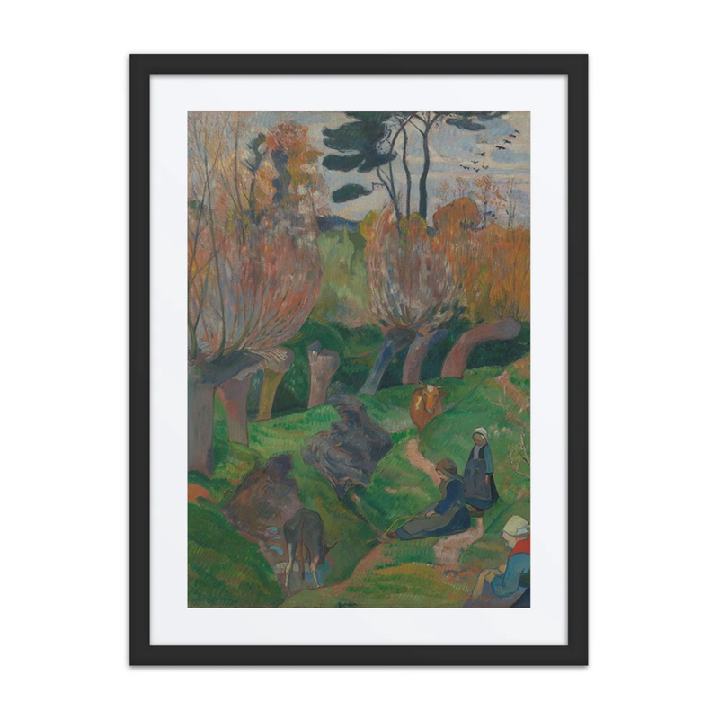 Landscape