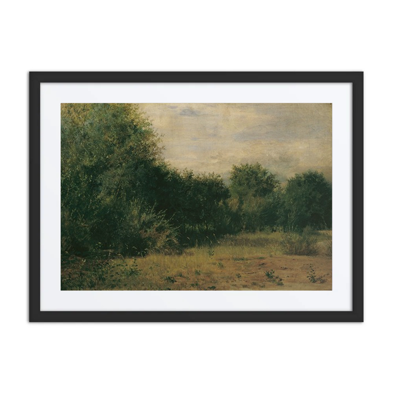 Landscape Study