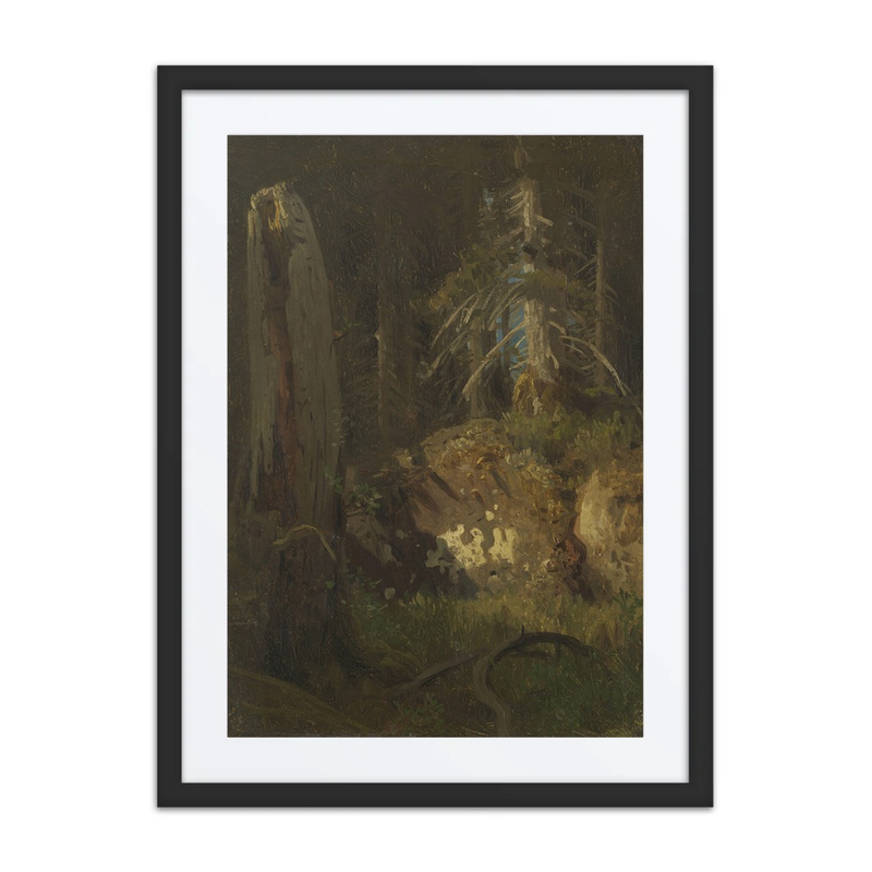 Landscape Study with Decaying Trees