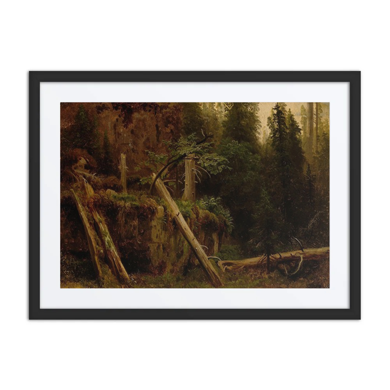 Landscape Study with Decaying Trees