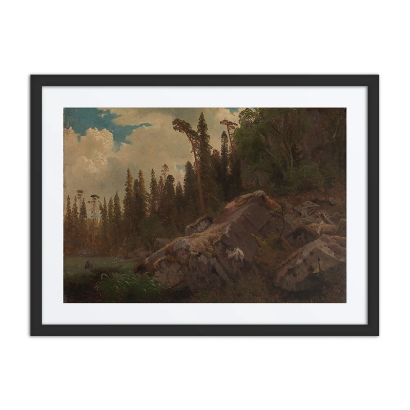 Landscape Study with Trees and Rocks