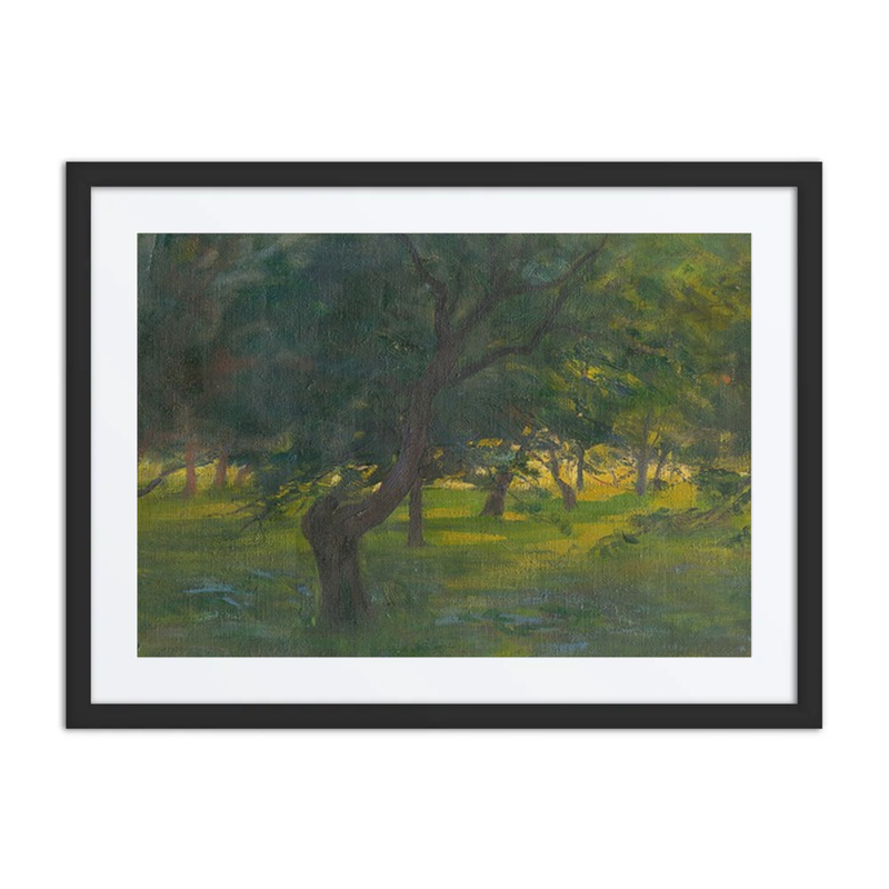 Landscape