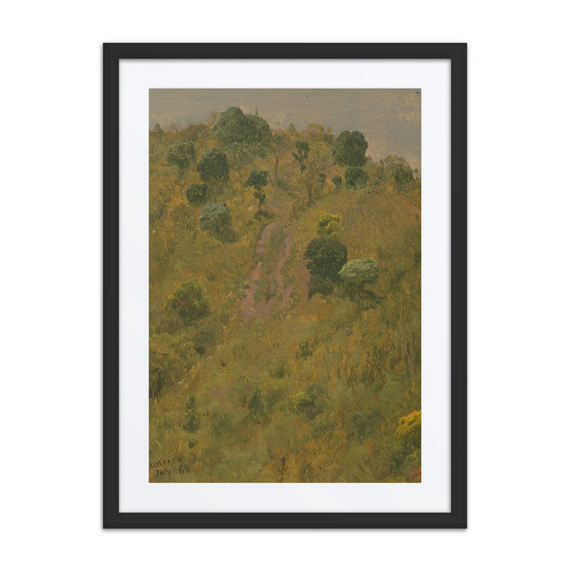 Landscape V