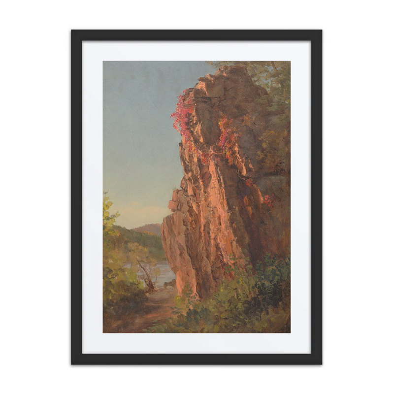 Landscape with Large Rock