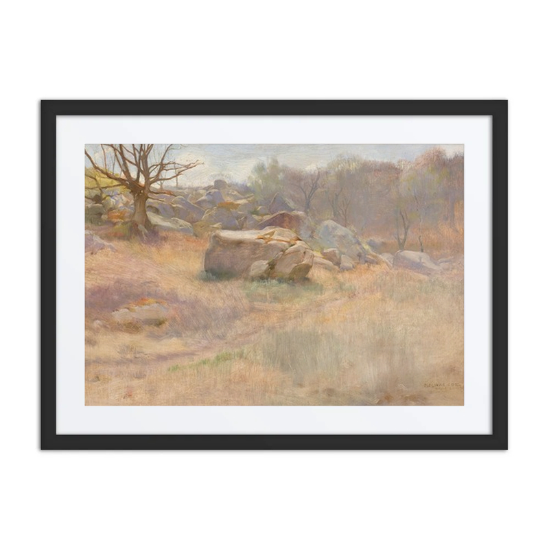 Landscape with Rocks