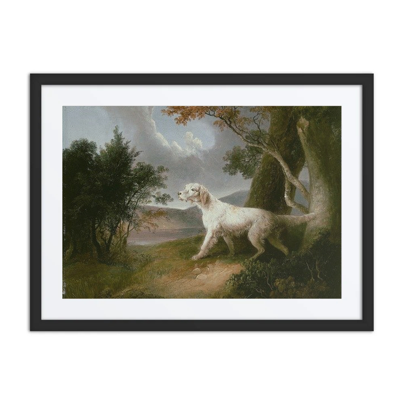 Landscape with Setter