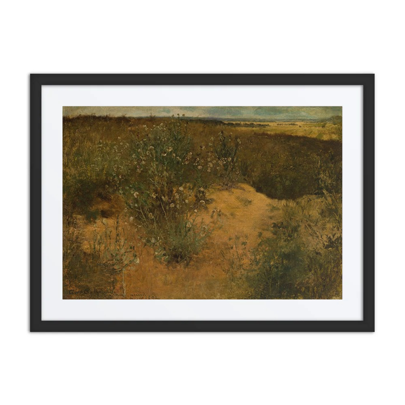 Landscape with Thistles