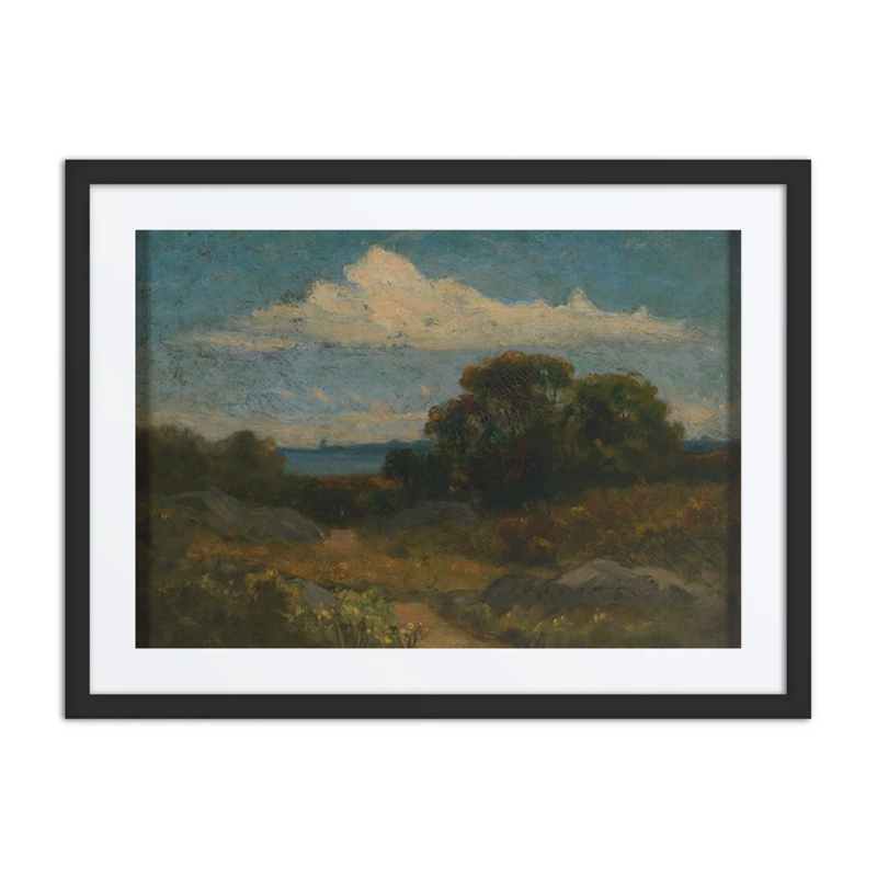 Landscape with Trees and Rocks