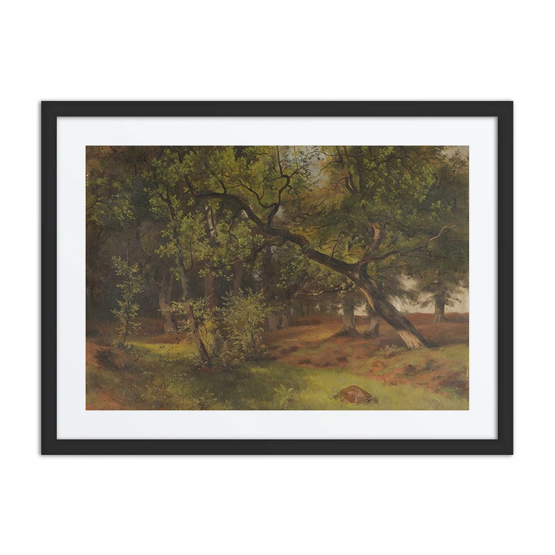 Landschaft Bei Aumühle