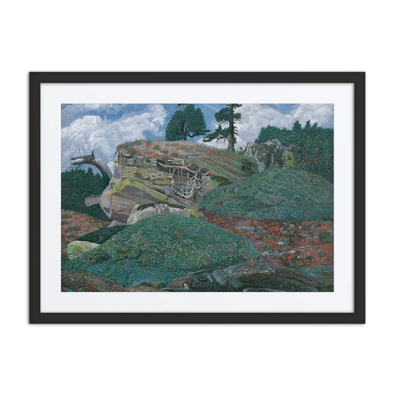 Landschaft Mit Felsen